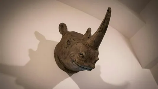 Apartments in Besnica - photo 10