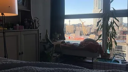 Room for rent in Rotterdam