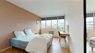 Room for rent, Nogent-sur-Marne, Île-de-France, &lt;span class=&quot;blurred street&quot; onclick=&quot;ProcessAdRequest(9799593)&quot;&gt;&lt;span class=&quot;hint&quot;&gt;See streetname&lt;/span&gt;[xxxxxxxxxxxxx]&lt;/span&gt;