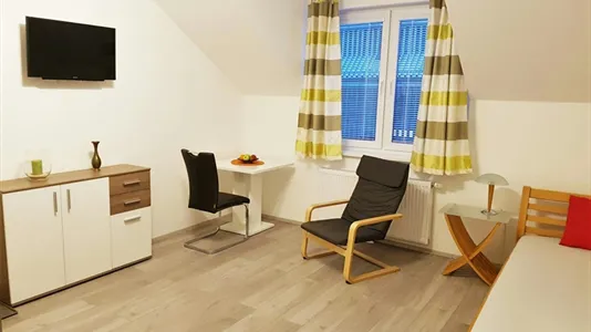 Apartments in Perchtoldsdorf - photo 1