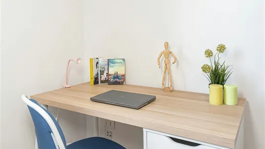 Rooms in Padua - photo 4