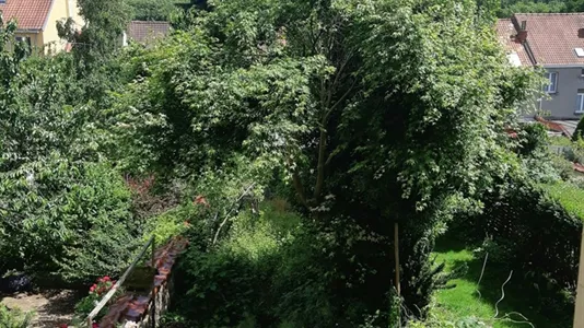 Rooms in Brussels Watermaal-Bosvoorde - photo 6