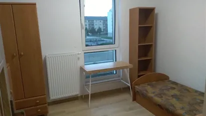 Room for rent in Poznań, Wielkopolskie