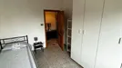 Room for rent, Bologna, Emilia-Romagna, Via Filippo Beroaldo, Italy