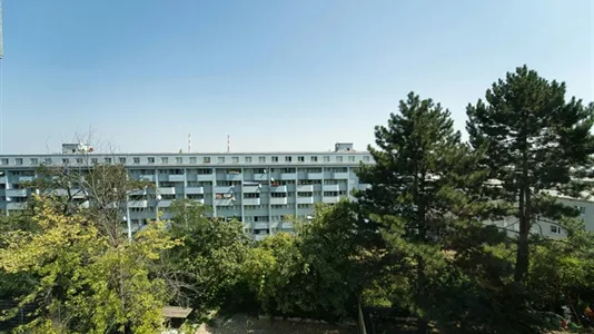 Apartments in Wien Simmering - photo 6