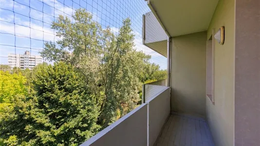 Rooms in Padua - photo 5