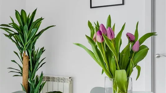 Rooms in Getafe - photo 10