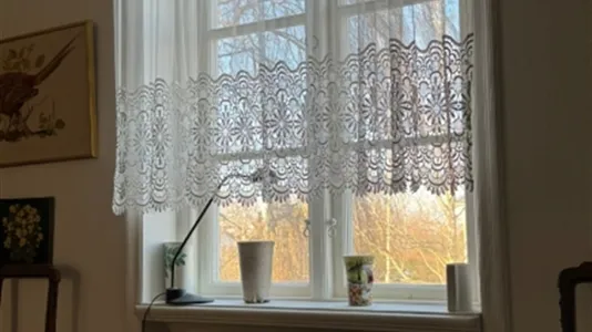 Houses in Malmö City - photo 11