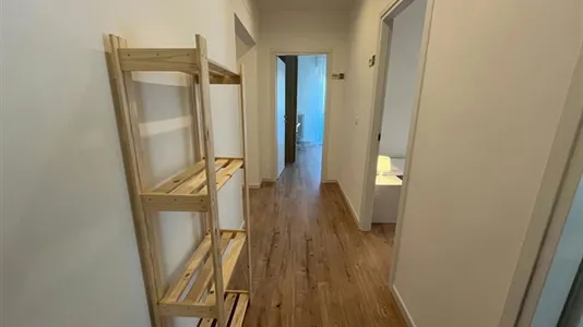 Rooms in Padua - photo 8