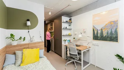 Room for rent in Kraków