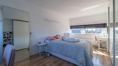 House for rent in Haarlemmermeer, North Holland