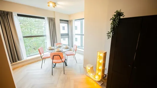 Apartments in Hilversum - photo 10