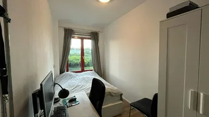 Room for rent in Rotterdam