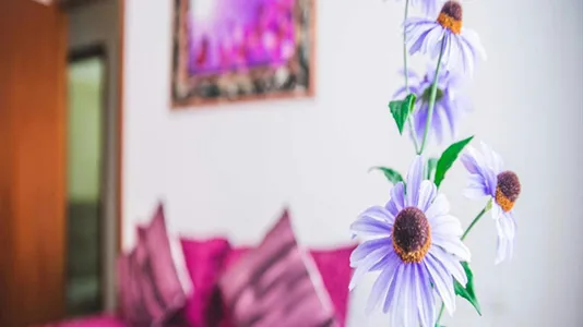 Rooms in Milano Zona 9 - Porta Garibaldi, Niguarda - photo 4