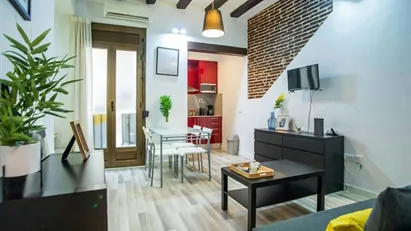 Apartment for rent in Barcelona Ciutat Vella, Barcelona