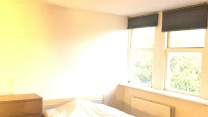 Room for rent in Rotterdam Delfshaven, Rotterdam