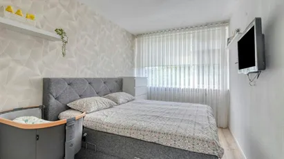 Room for rent in Schiedam, South Holland