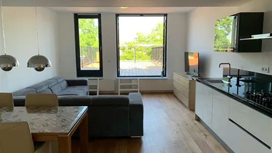 Apartments in Schiedam - photo 1