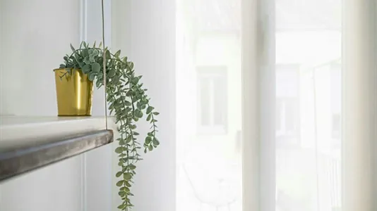 Rooms in Madrid Centro - photo 5