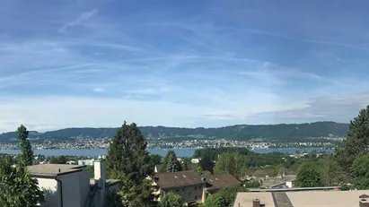 Apartment for rent in Zürich Distrikt 7, Zürich