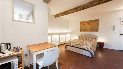 Apartment for rent in Florence, Toscana
