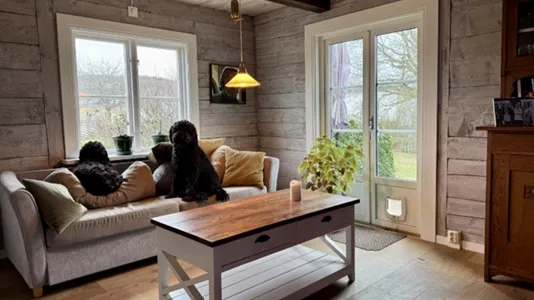 Houses in Båstad - photo 11