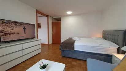 Apartment for rent in Besnica, Osrednjeslovenska