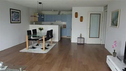 Apartment for rent in Rotterdam