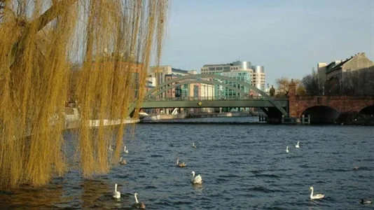 Apartments in Berlin Mitte - photo 8