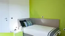 Room for rent, Trento, Trentino-Alto Adige, Via Tomaso Gar, Italy