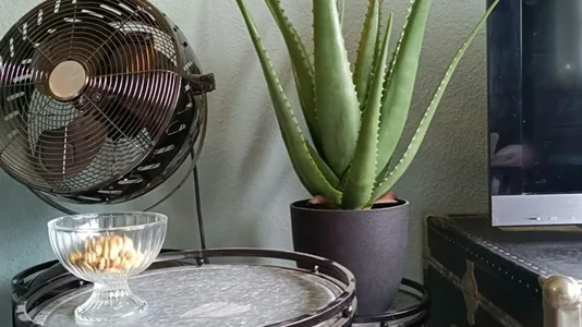 Apartments in Location is not specified - photo 5