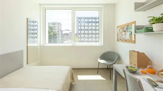 Apartments in Florence - photo 3