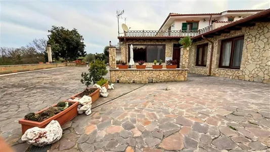 Apartments in Anguillara Sabazia - photo 7