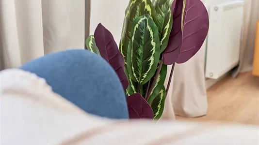 Apartments in Wrocław - photo 7