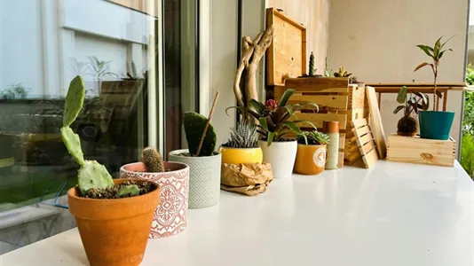 Apartments in Milano Zona 9 - Porta Garibaldi, Niguarda - photo 8