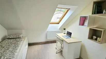 Room for rent in Prague 10, Prague