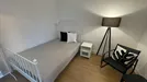 Room for rent, Magdeburg, Sachsen-Anhalt, Sudenburger Straße