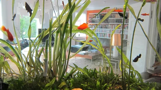 Rooms in Reykjavík Miðborg - photo 9