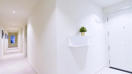 Apartments in Barcelona Ciutat Vella - photo 3