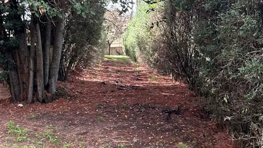 Houses in Montefalco - photo 5