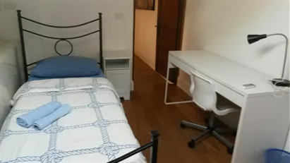 Room for rent in Florence, Toscana