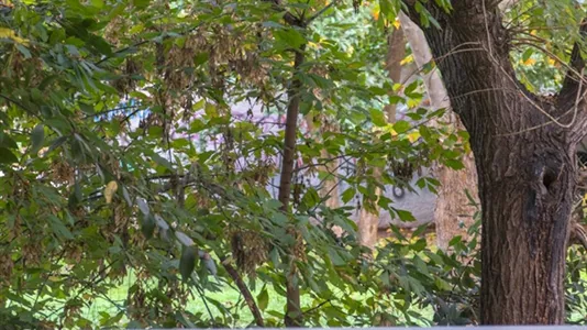 Apartments in Location is not specified - photo 3