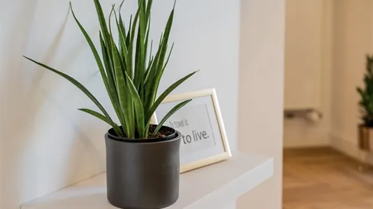 Apartments in Berlin Mitte - photo 10