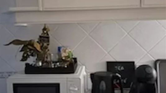 Rooms in Caldas da Rainha - photo 8