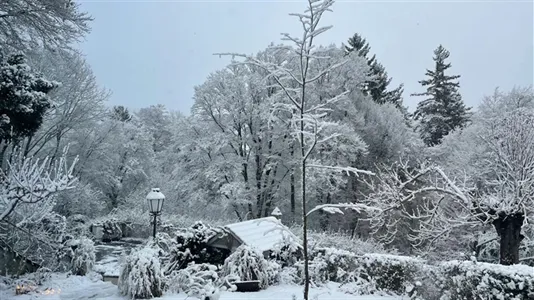 Houses in Alland - photo 10