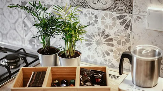 Rooms in Florence - photo 7