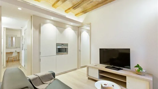 Apartments in Barcelona Ciutat Vella - photo 2