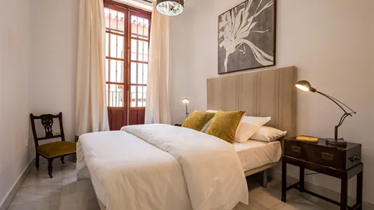 Apartments in Sevilla Casco Antiguo - photo 8