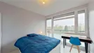 Room for rent, Rouen, Normandie, Parc de lIton, France