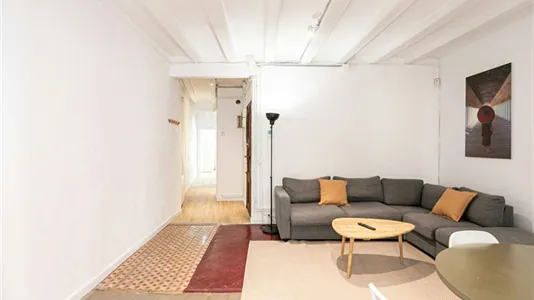 Apartments in Barcelona Ciutat Vella - photo 10
